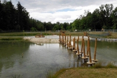 Wasser_Fisch_Natur_2